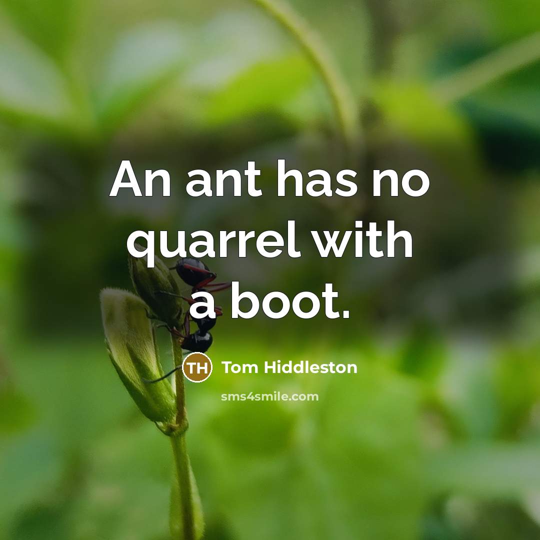 “An ant has no quarrel with a boot.…” quote by Tom Hiddleston