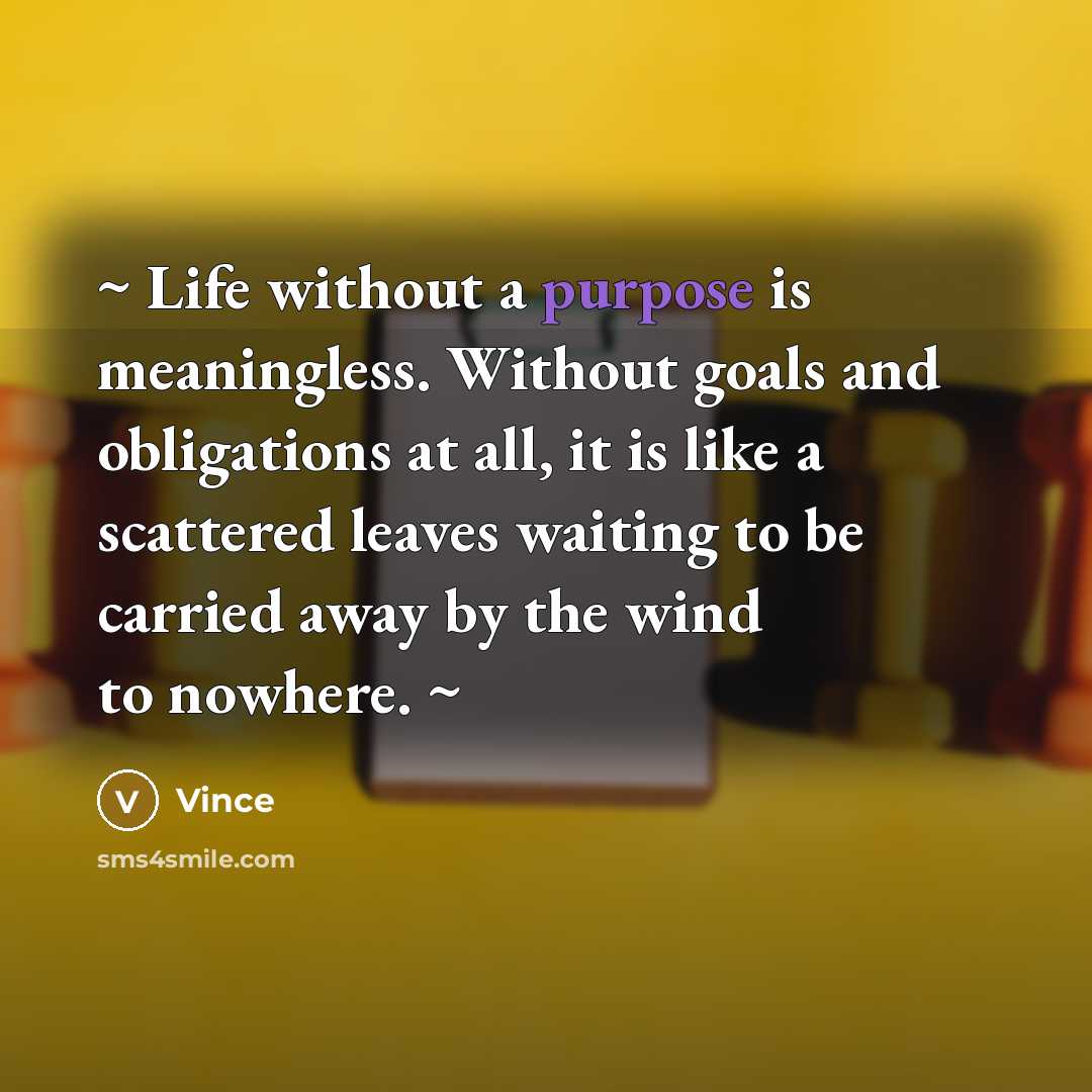 “~ Life without a purpose is meaningless. Without goals and…” quote by Vince