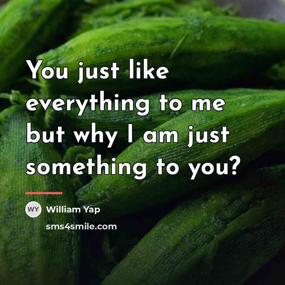 “You just like everything to me but why I am…” quote by William Yap