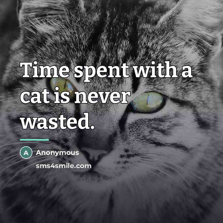 “Time spent with a cat is never wasted.…” quote by Anonymous