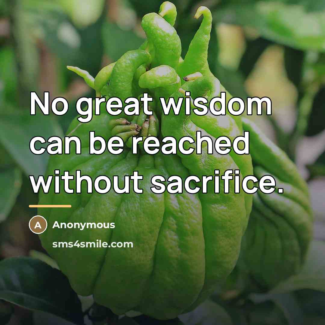 “No great wisdom can be reached without sacrifice.…” quote by Anonymous