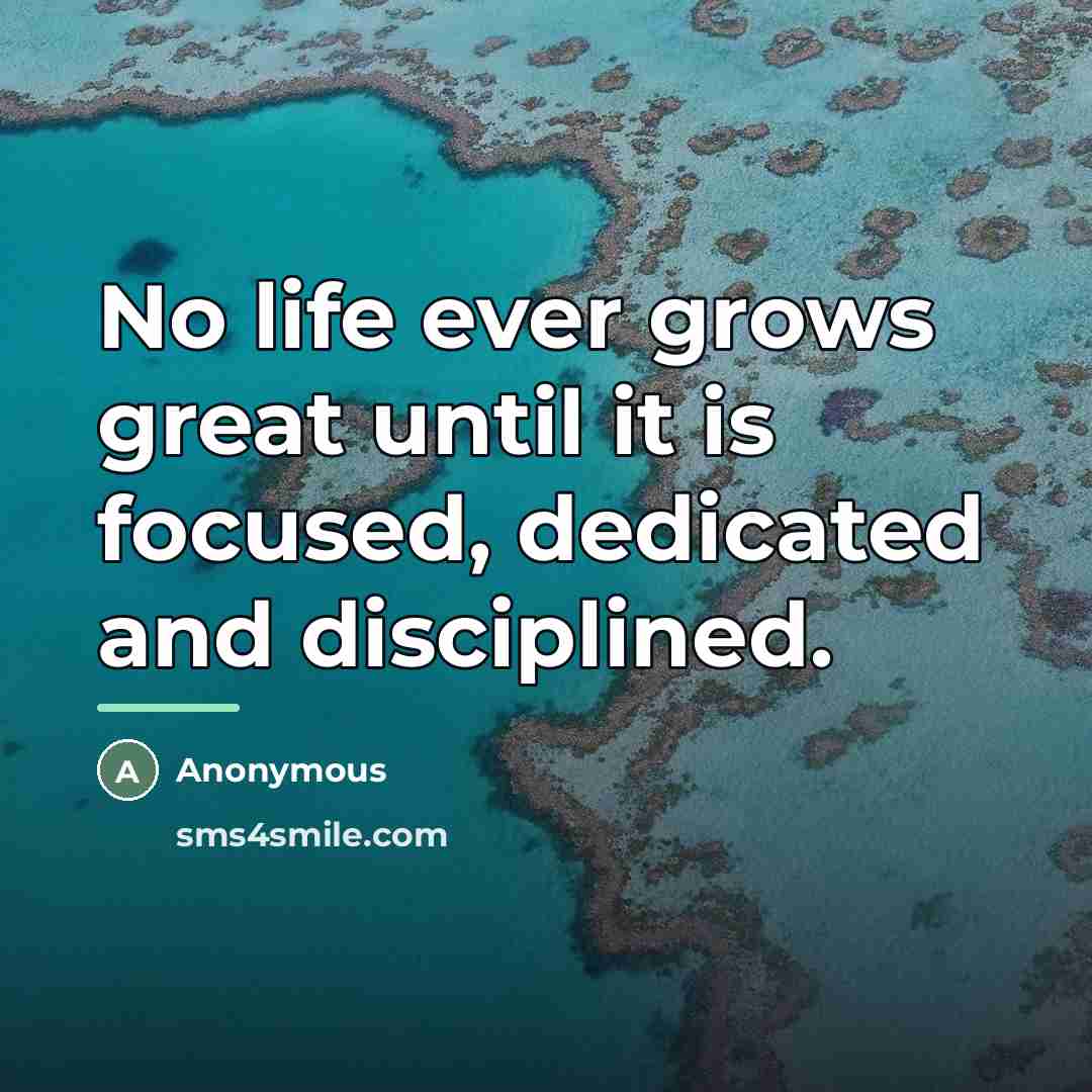 “No life ever grows great until it is focused, dedicated…” quote by Anonymous
