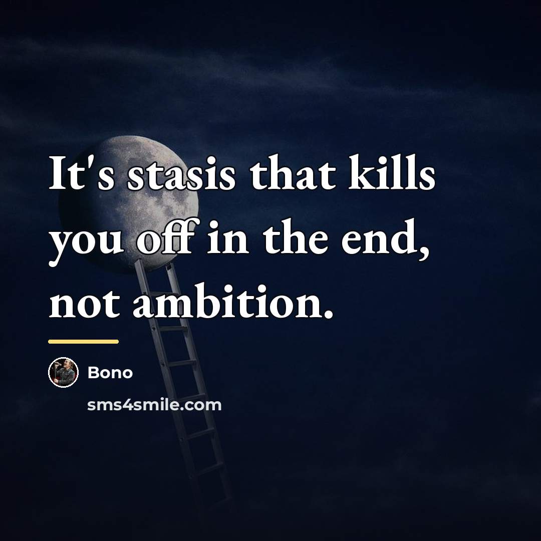 “It's stasis that kills you off in the end, not…” quote by Bono