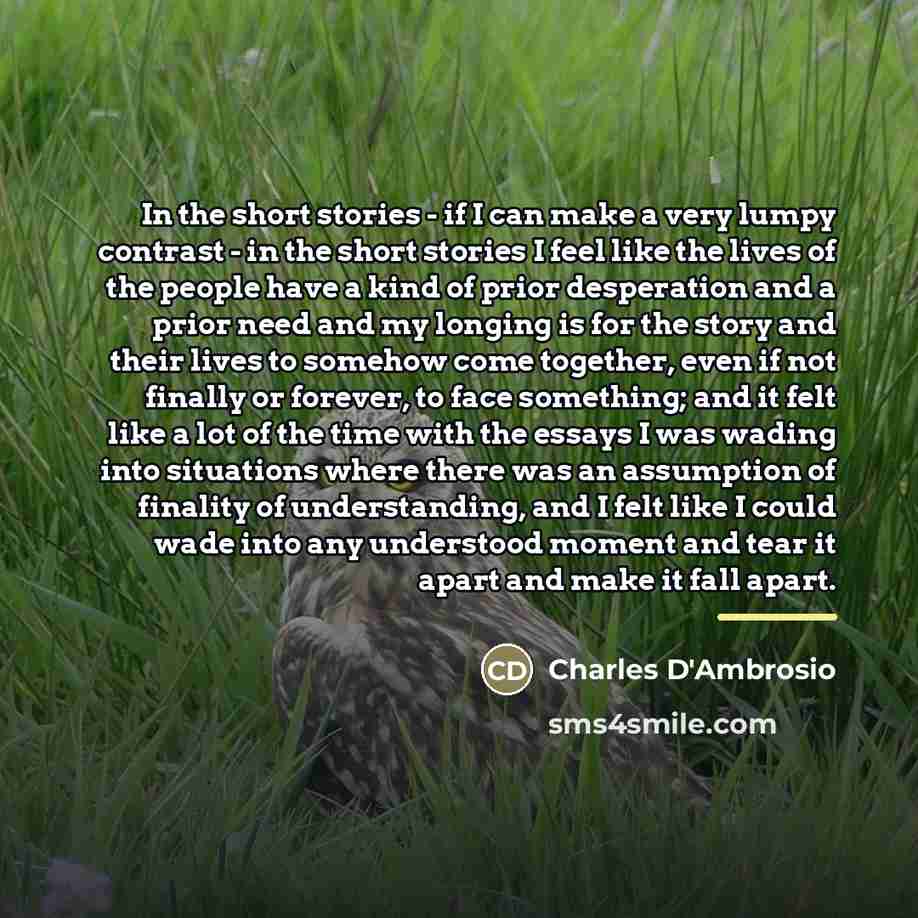 “In the short stories - if I can make a…” quote by Charles D'Ambrosio