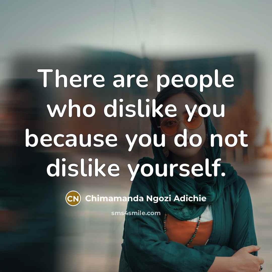 “There are people who dislike you because you do not…” quote by Chimamanda Ngozi Adichie