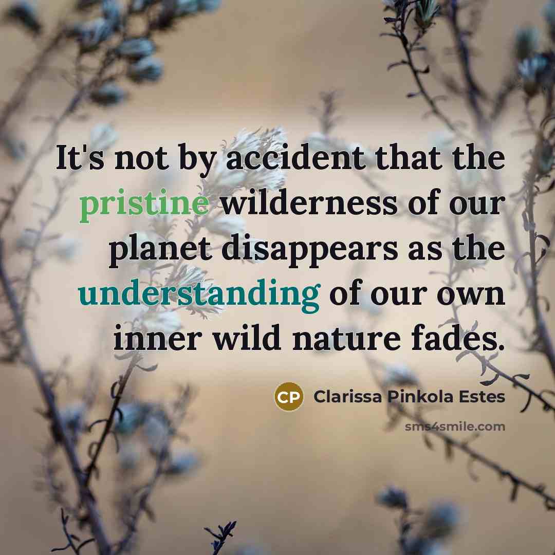 “It's not by accident that the pristine wilderness of our…” quote by Clarissa Pinkola Estes