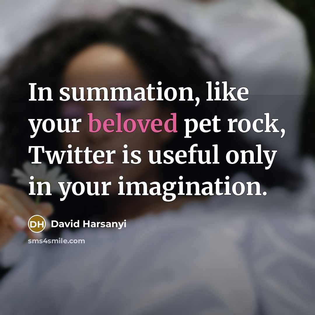“In summation, like your beloved pet rock, Twitter is useful…” quote by David Harsanyi