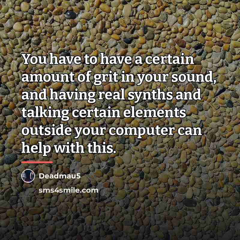 “You have to have a certain amount of grit in…” quote by Deadmau5