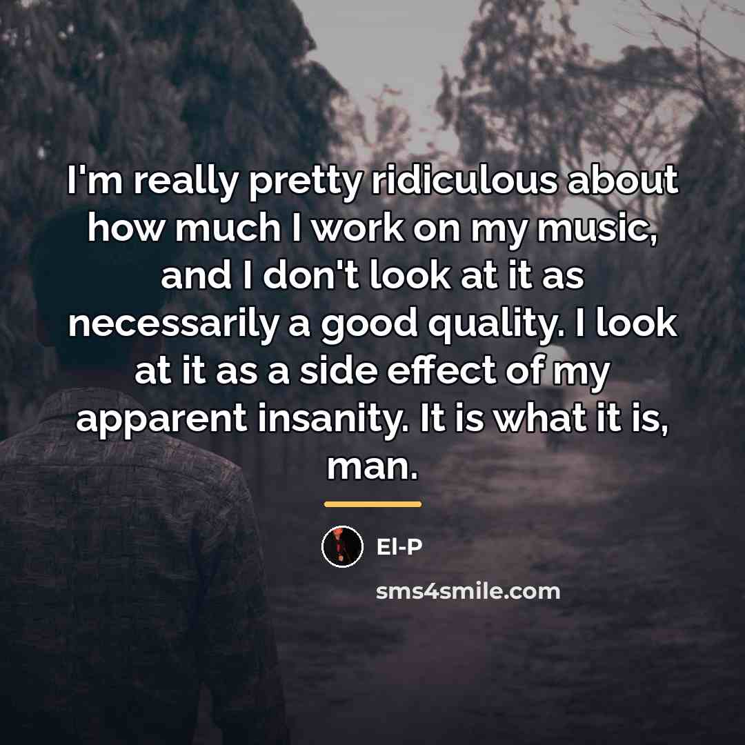 “I'm really pretty ridiculous about how much I work on…” quote by El-P