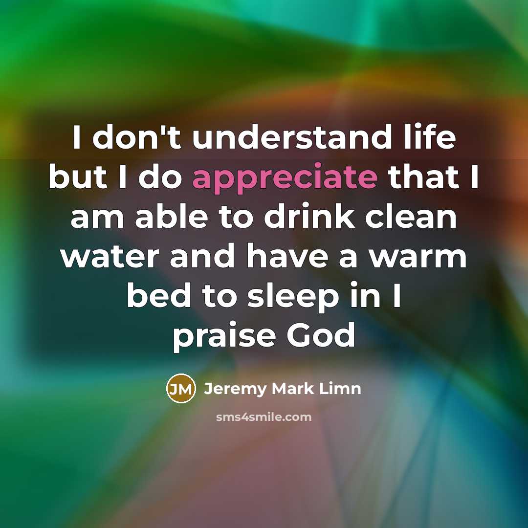 “I don't understand life but I do appreciate that I…” quote by Jeremy Mark Limn
