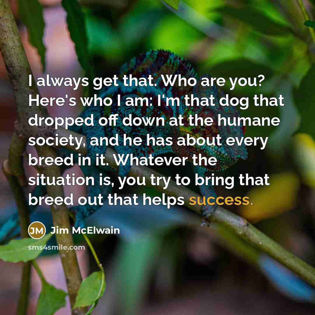 “I always get that. Who are you? Here's who I am: I'm that dog that dropped off down at the humane society, and he has about every breed in it. Whatever the situation is, you try to bring that breed out that helps success.” quote by Jim McElwain