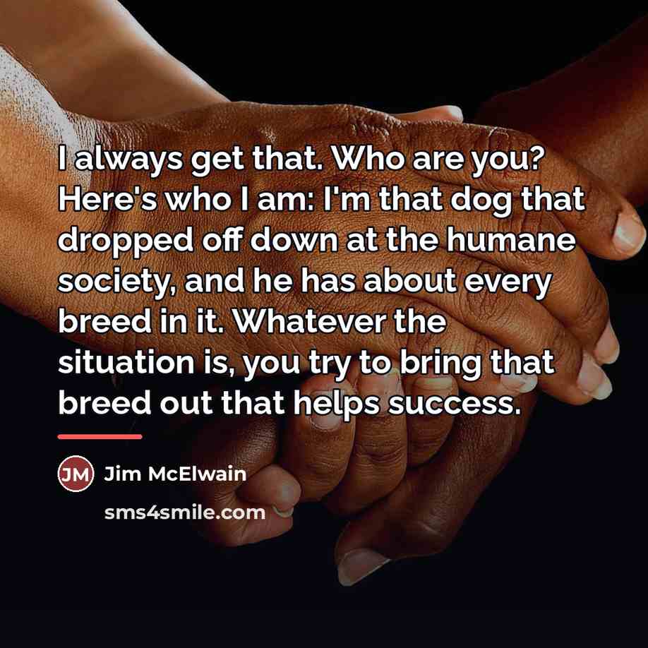“I always get that. Who are you? Here's who I…” quote by Jim McElwain