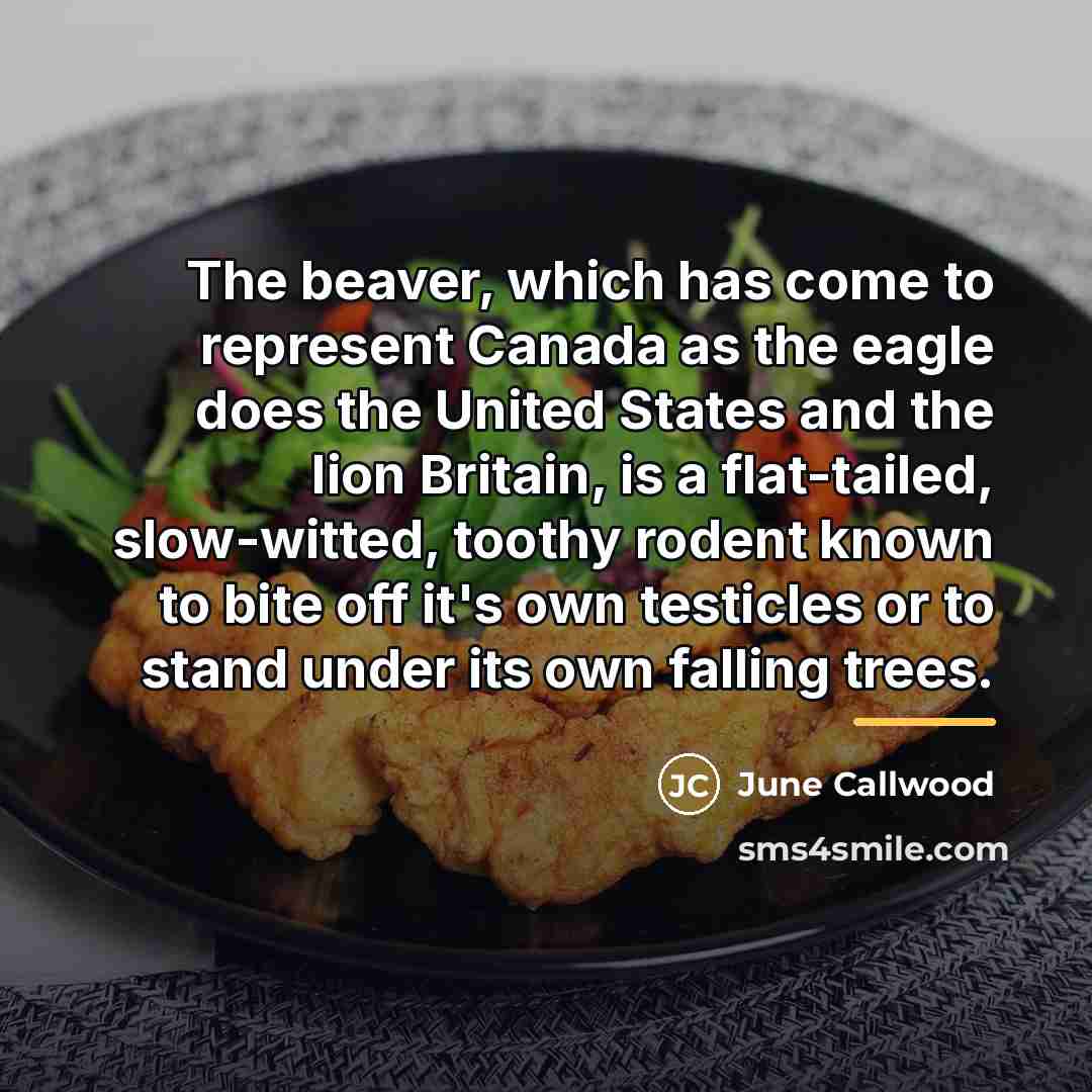 “The beaver, which has come to represent Canada as the…” quote by June Callwood