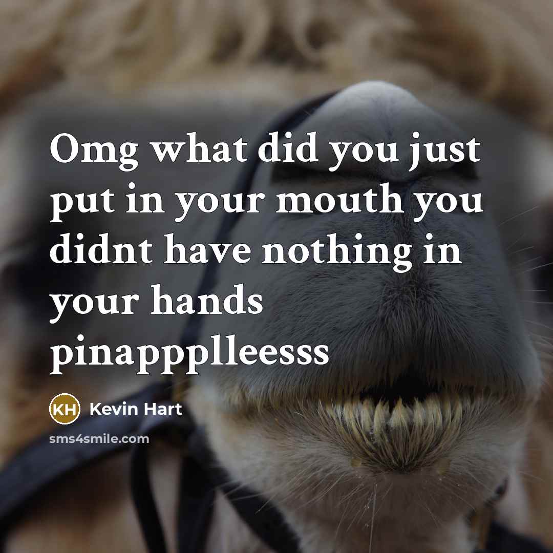 “Omg what did you just put in your mouth you didnt have nothing in your hands pinappplleesss” quote by Kevin Hart