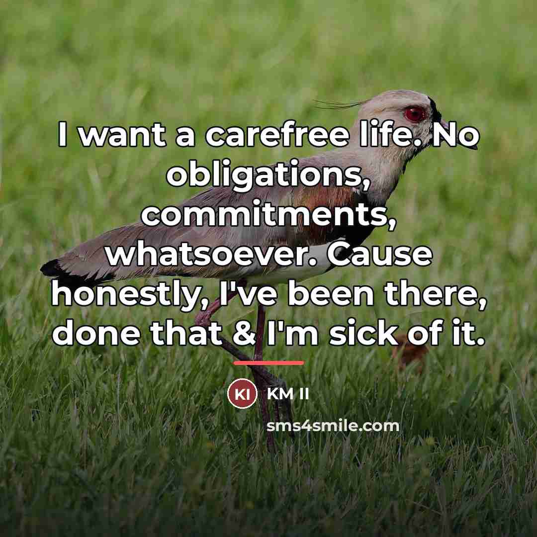 “I want a carefree life. No obligations, commitments, whatsoever. Cause…” quote by KM II