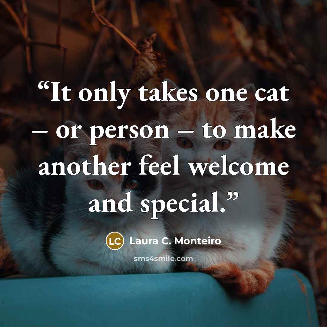 “It only takes one cat – or person – to make another feel welcome and special.” quote by Laura C. Monteiro