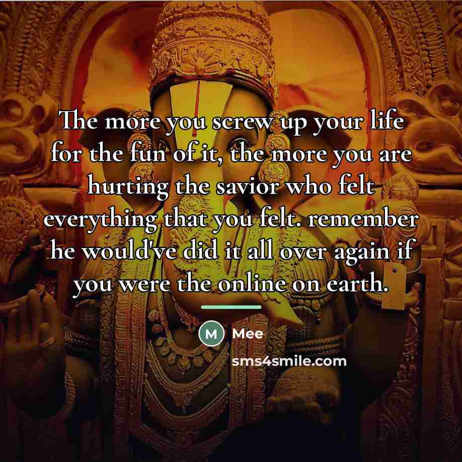 “The more you screw up your life for the fun…” quote by Mee