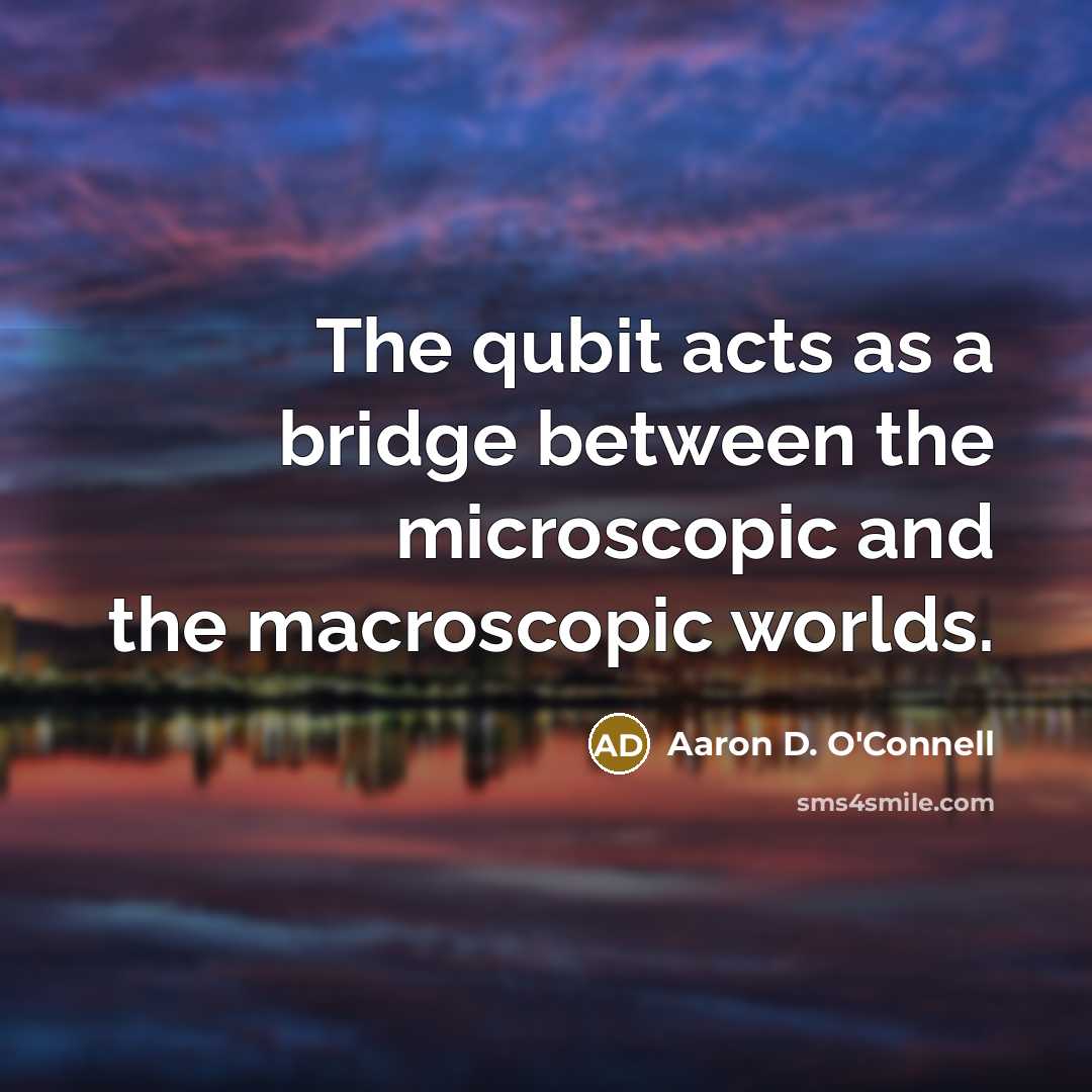 “The qubit acts as a bridge between the microscopic and…” quote by Aaron D. O'Connell