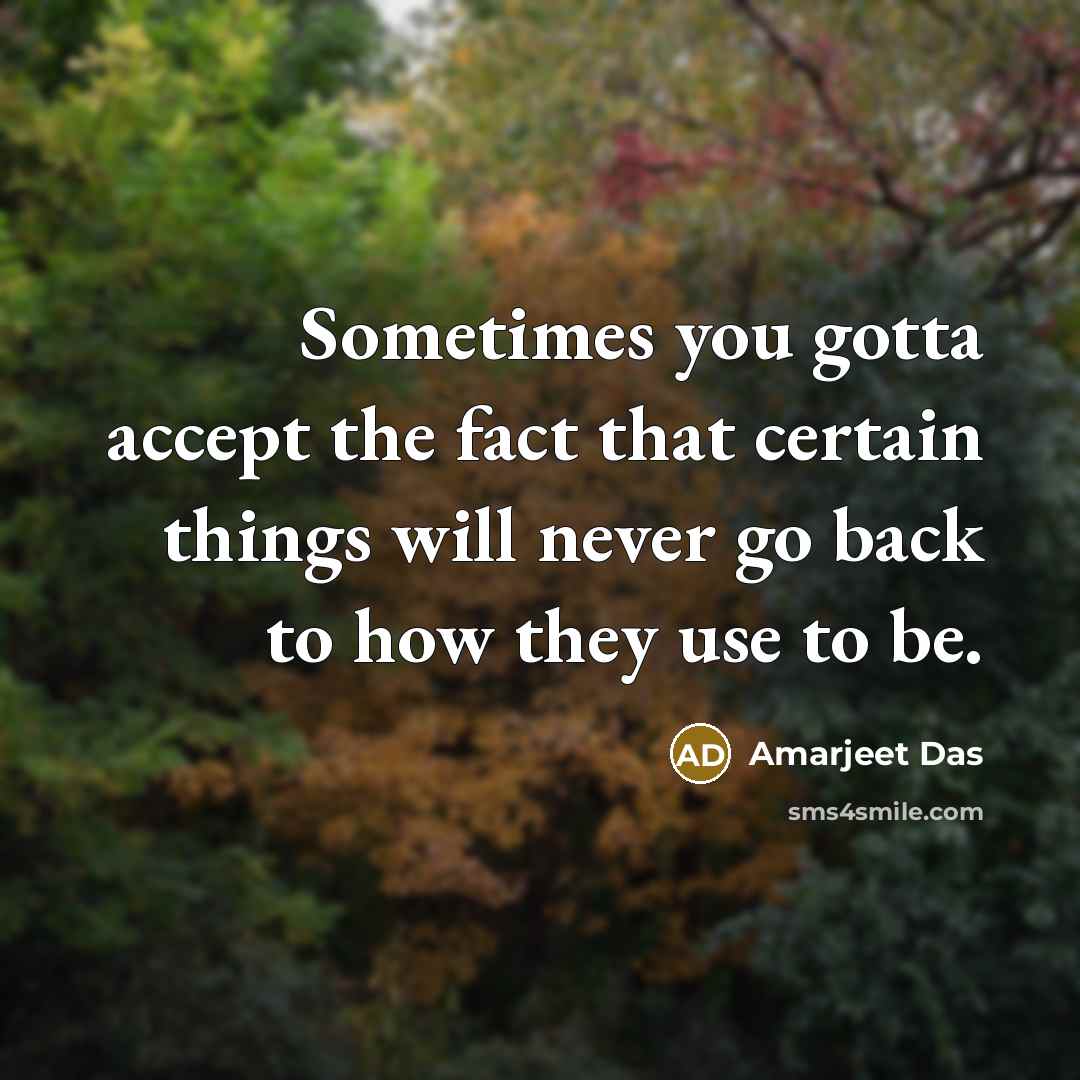 “Sometimes you gotta accept the fact that certain things will…” quote by Amarjeet Das