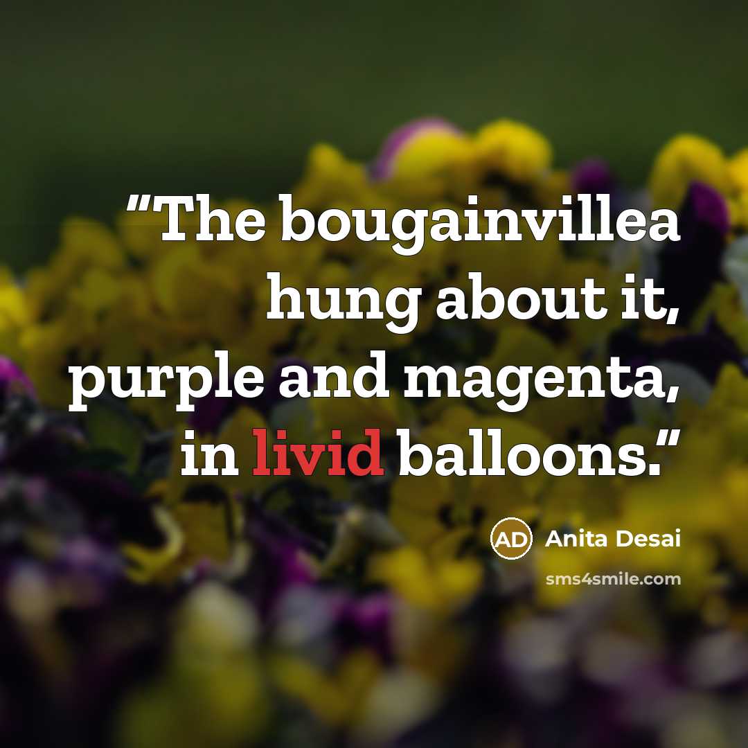 “The bougainvillea hung about it, purple and magenta, in livid balloons.” quote by Anita Desai