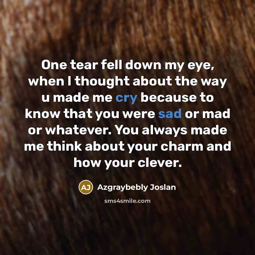 “One tear fell down my eye, when I thought about the way u made me cry because to know that you were sad or mad or whatever. You always made me think about your charm and how your clever.” quote by Azgraybebly Joslan