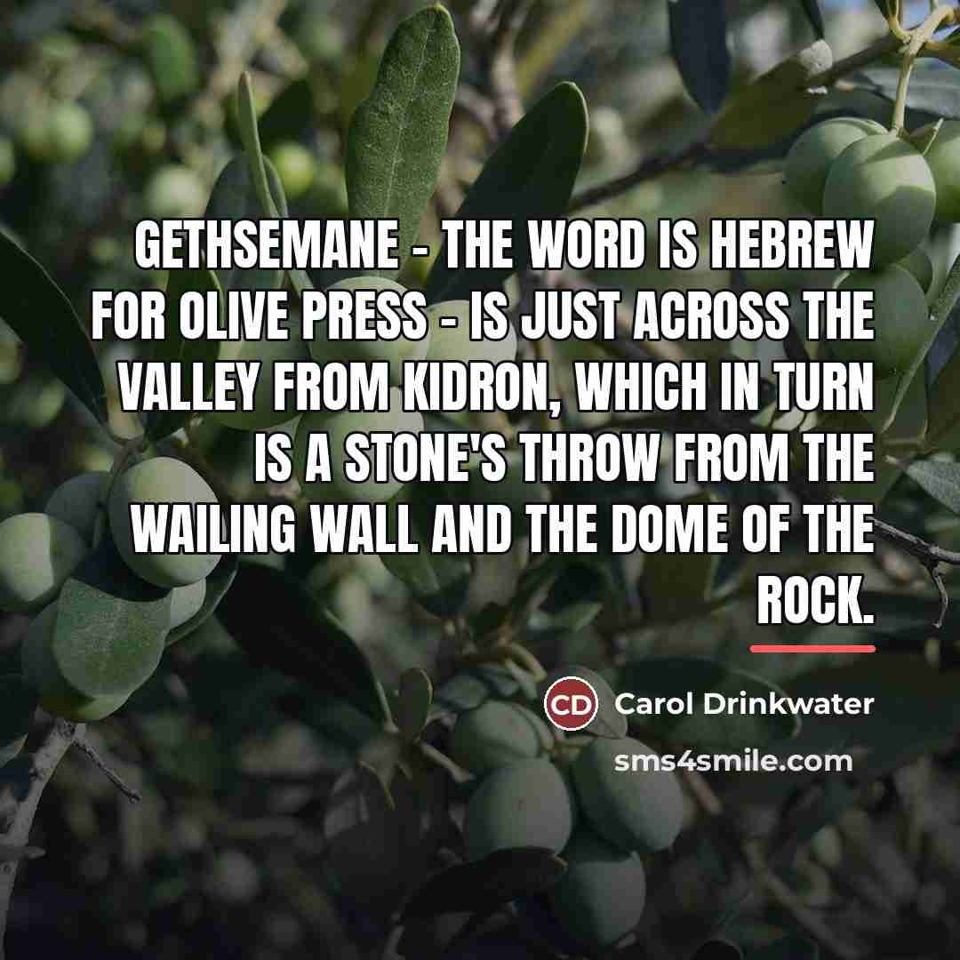 “Gethsemane - the word is Hebrew for olive press -…” quote by Carol Drinkwater