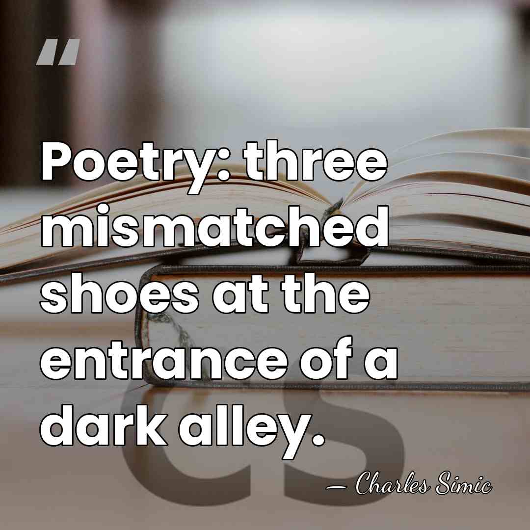 Poetry: three mismatched shoes at the entrance of a dark alley. - Charles Simic