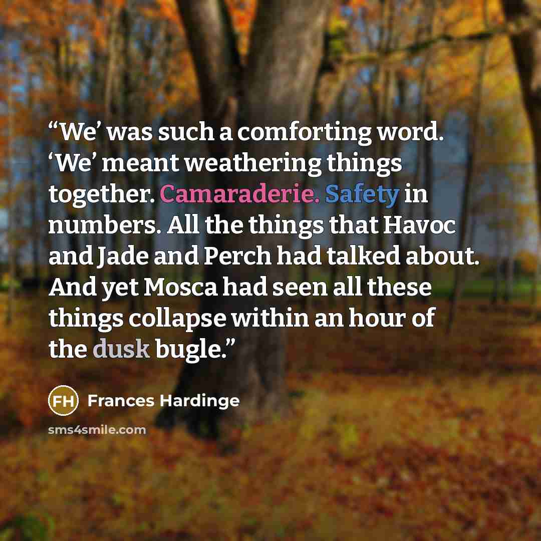 “We’ was such a comforting word. ‘We’ meant weathering things together. Camaraderie. Safety in numbers. All the things that Havoc and Jade and Perch had talked about. And yet Mosca had seen all these things collapse within an hour of the dusk bugle.” quote by Frances Hardinge