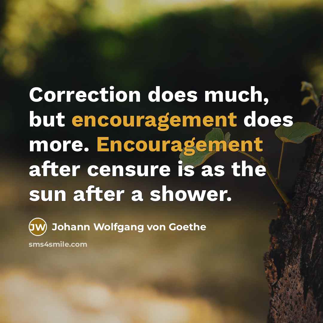 “Correction does much, but encouragement does more. Encouragement after censure…” quote by Johann Wolfgang von Goethe