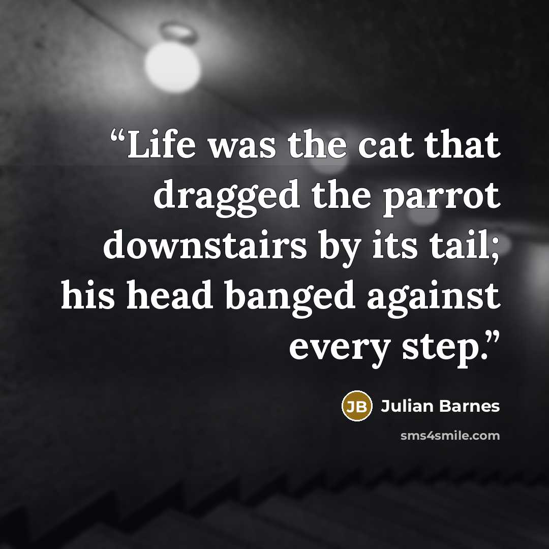 “Life was the cat that dragged the parrot downstairs by its tail; his head banged against every step.” quote by Julian Barnes