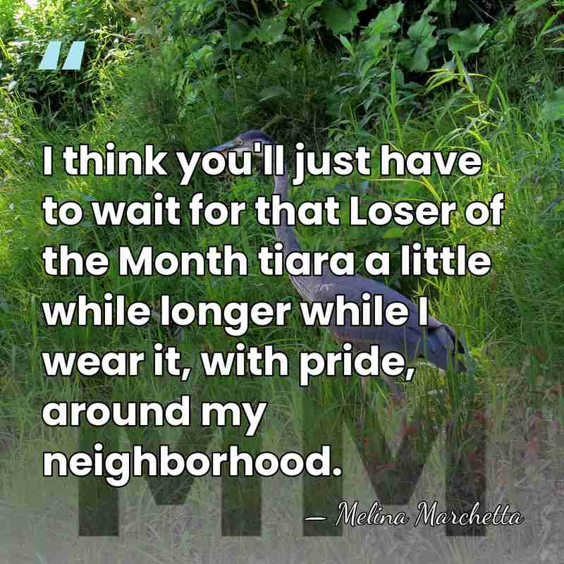 I think you'll just have to wait for that Loser of the&hellip; - Melina Marchetta
