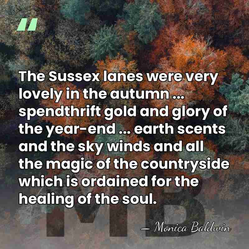 The Sussex lanes were very lovely in the autumn ... spendthrift gold&hellip; - Monica Baldwin