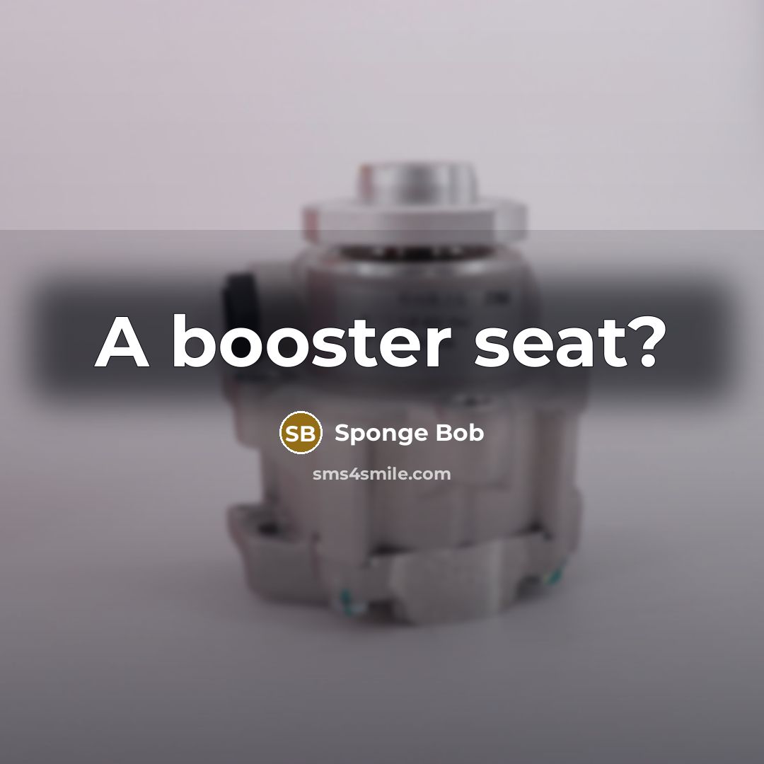“A booster seat?” quote by Sponge Bob
