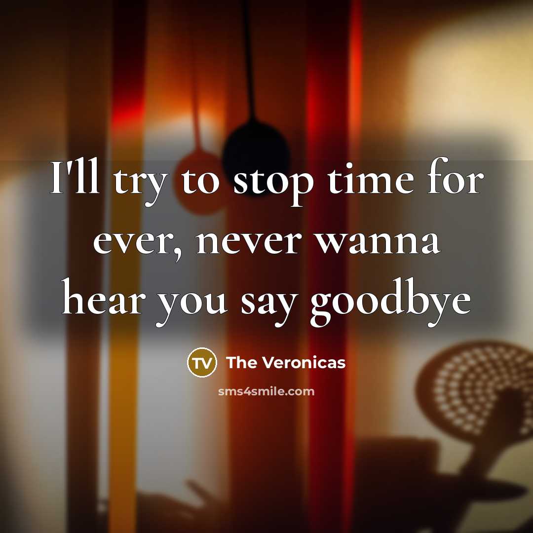 “I'll try to stop time for ever, never wanna hear…” quote by The Veronicas