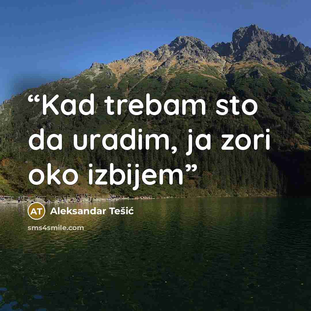 “Kad trebam sto da uradim, ja zori oko izbijem” quote by Aleksandar Tešić