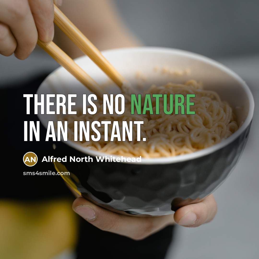 “There is no nature in an instant.…” quote by Alfred North Whitehead