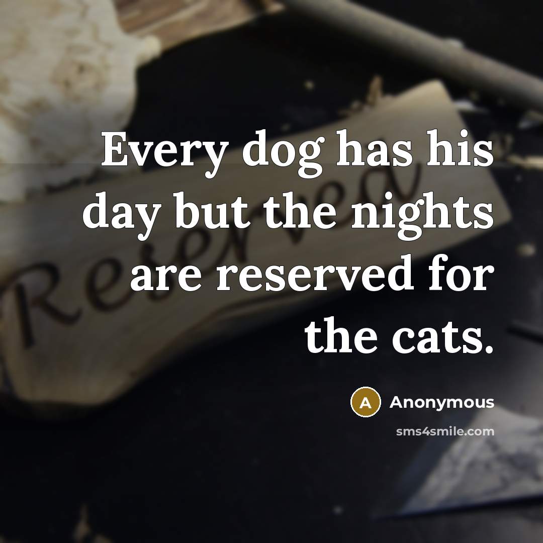 “Every dog has his day but the nights are reserved…” quote by Anonymous