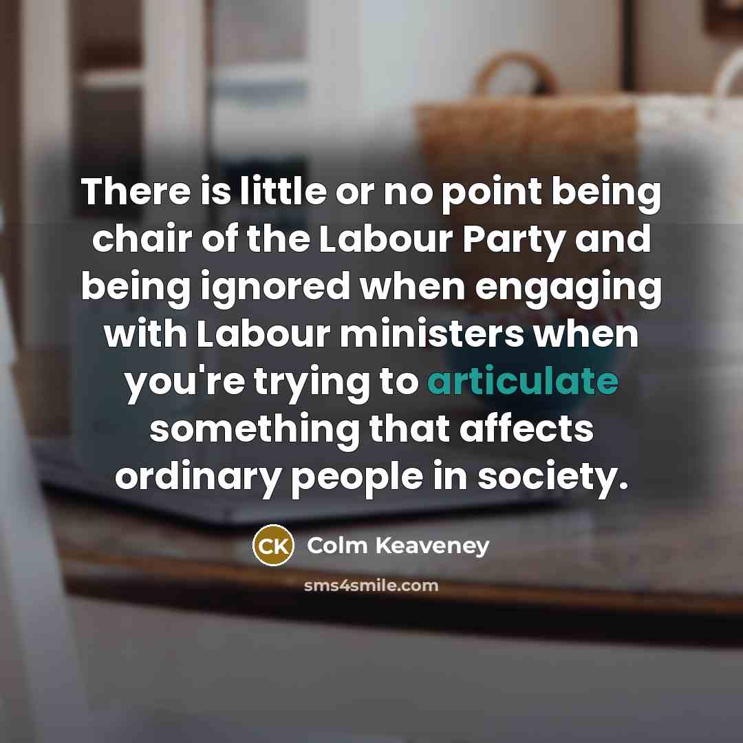 “There is little or no point being chair of the…” quote by Colm Keaveney