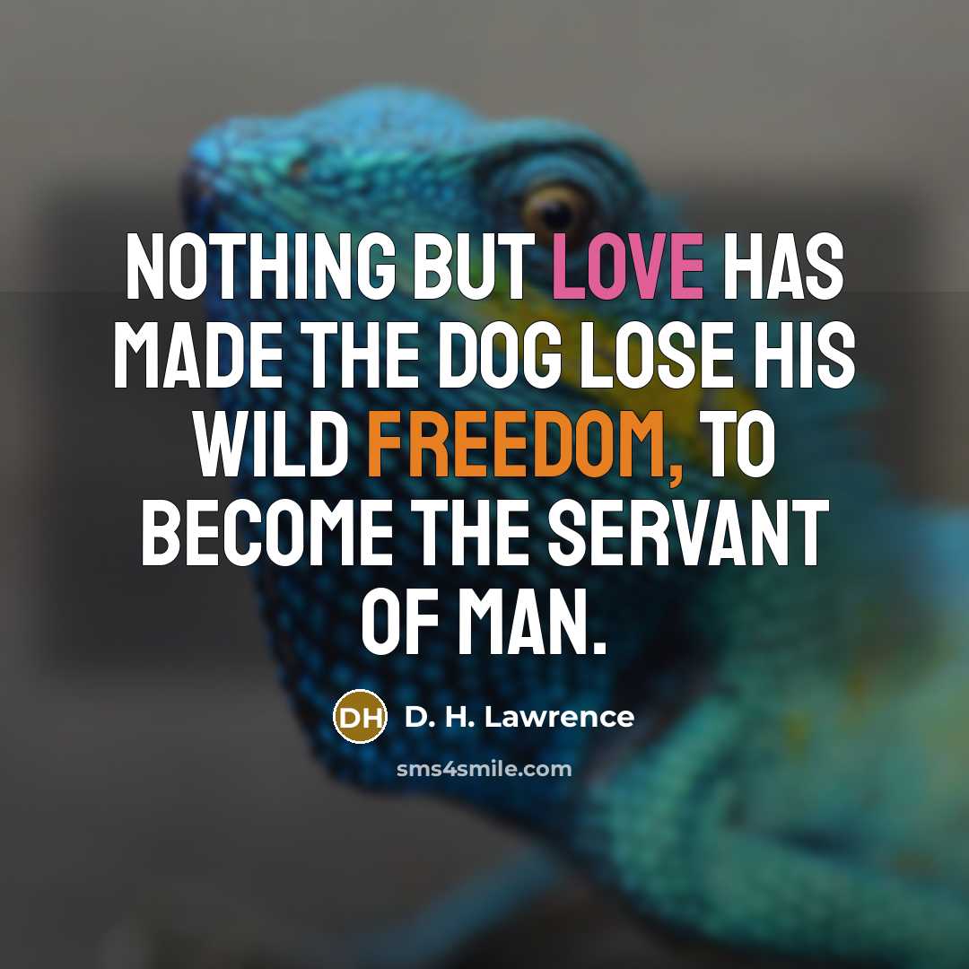 “Nothing but love has made the dog lose his wild freedom, to become the servant of man.” quote by D. H. Lawrence