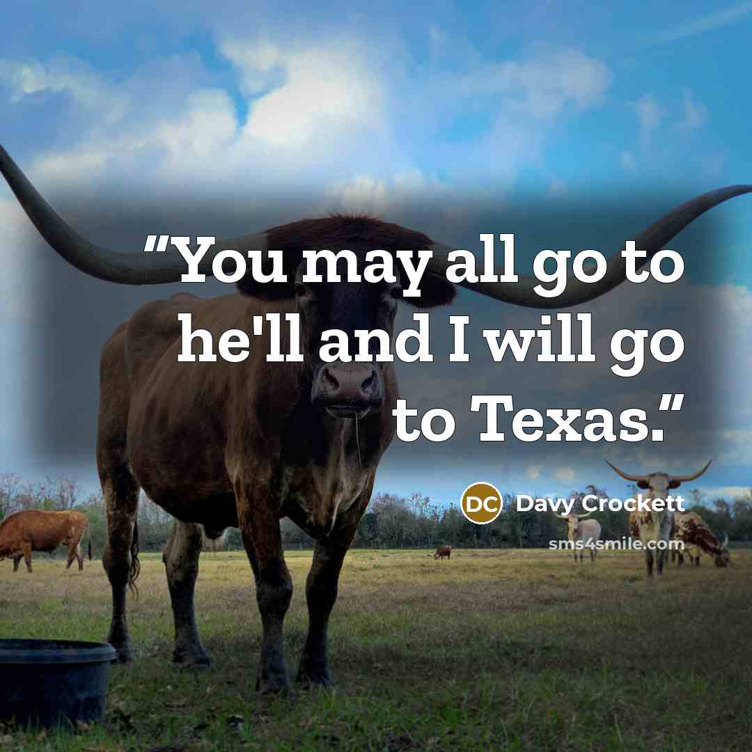 “You may all go to he'll and I will go to Texas.” quote by Davy Crockett