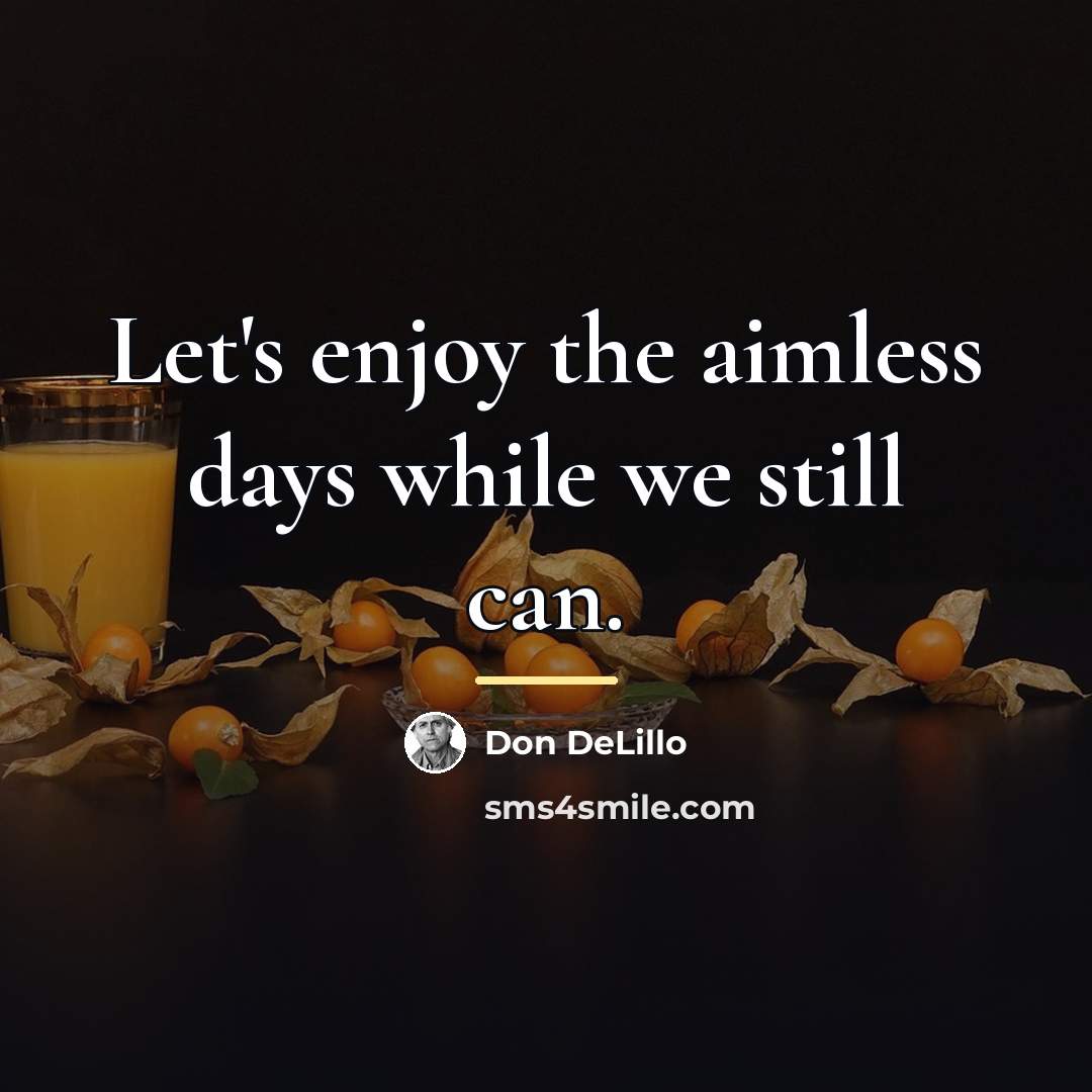 “Let's enjoy the aimless days while we still can.…” quote by Don DeLillo