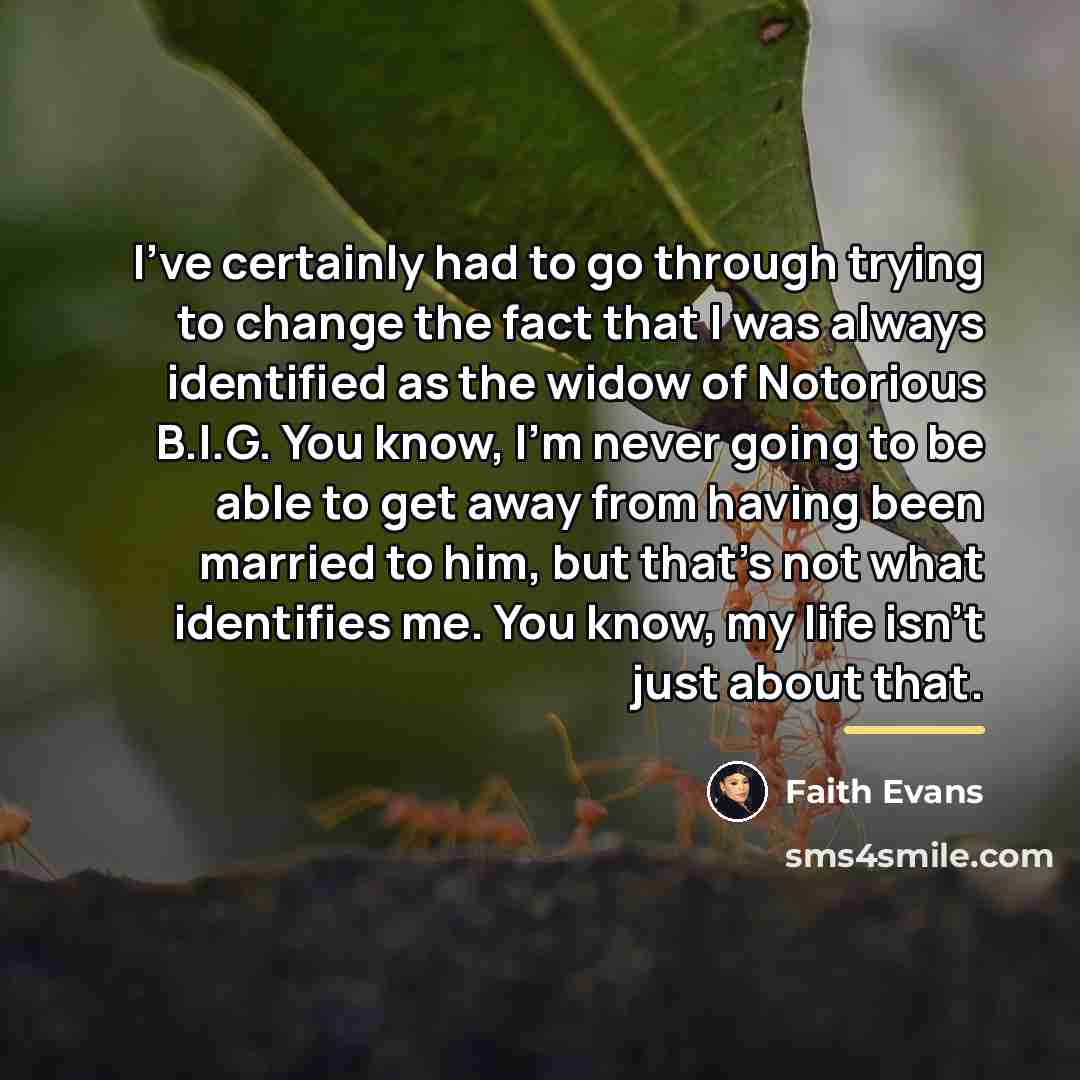 “I've certainly had to go through trying to change the…” quote by Faith Evans