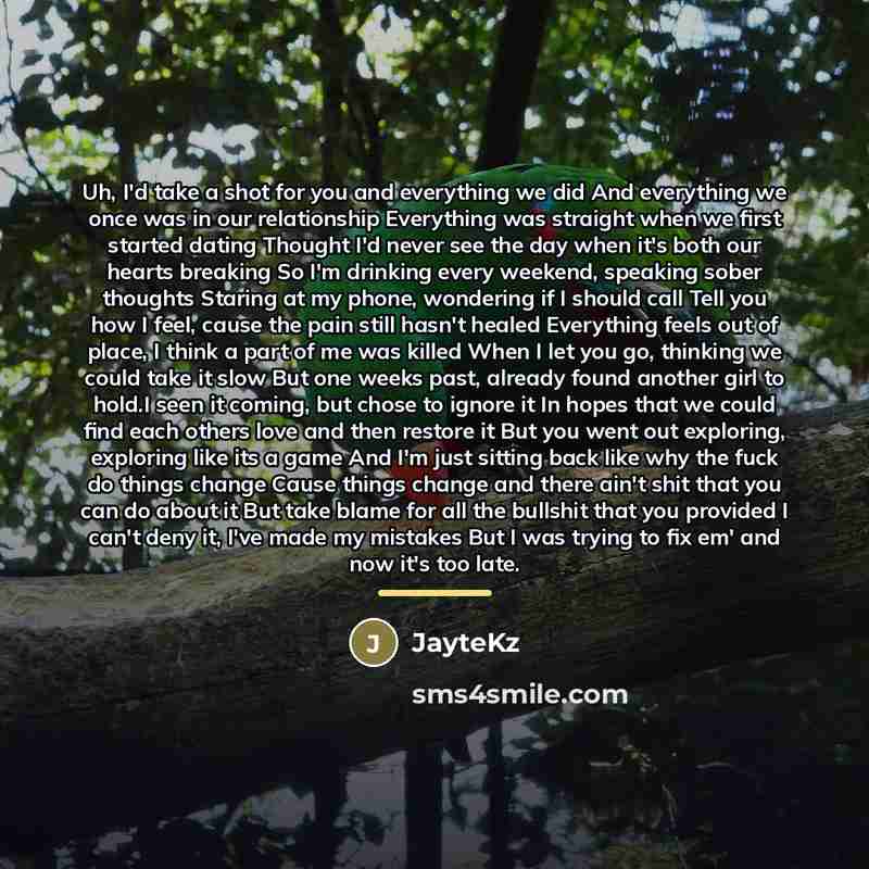 “Uh, I'd take a shot for you and everything we…” quote by Jaytekz