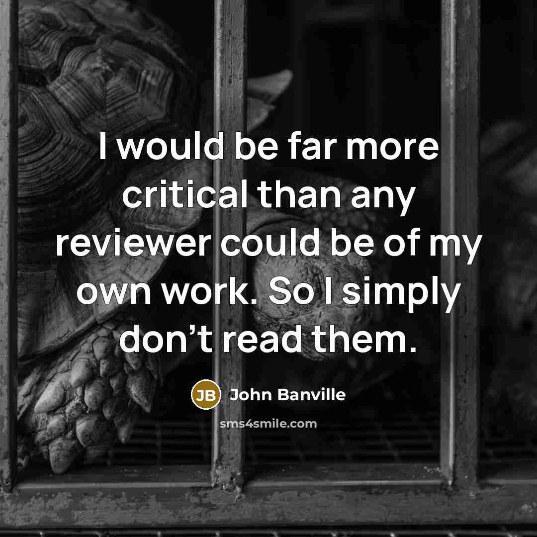 “I would be far more critical than any reviewer could…” quote by John Banville