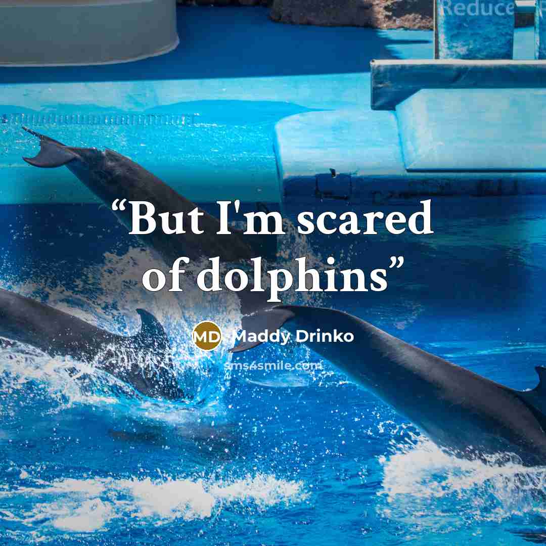 “But I'm scared of dolphins” quote by Maddy Drinko