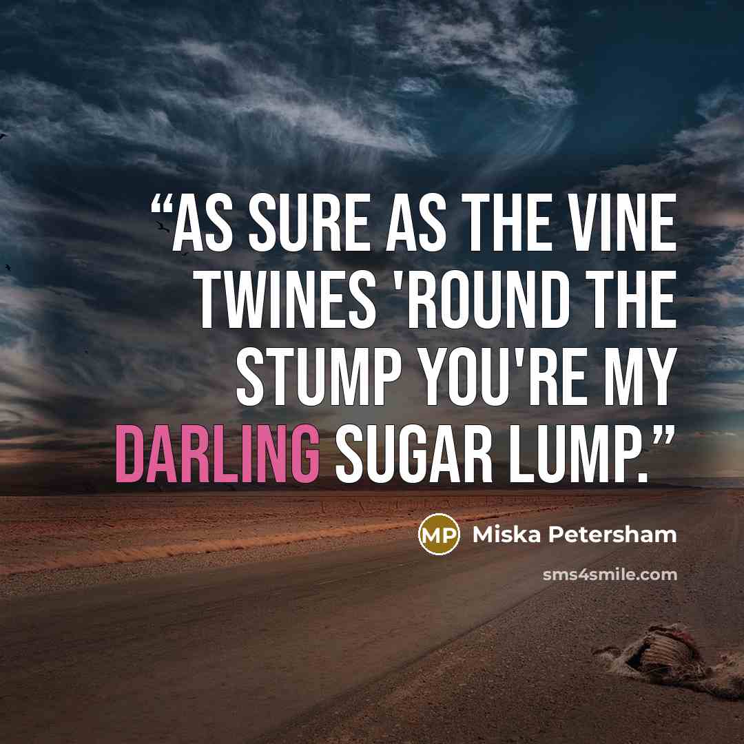 “As sure as the vine Twines 'round the stump You're my darling sugar lump.” quote by Miska Petersham