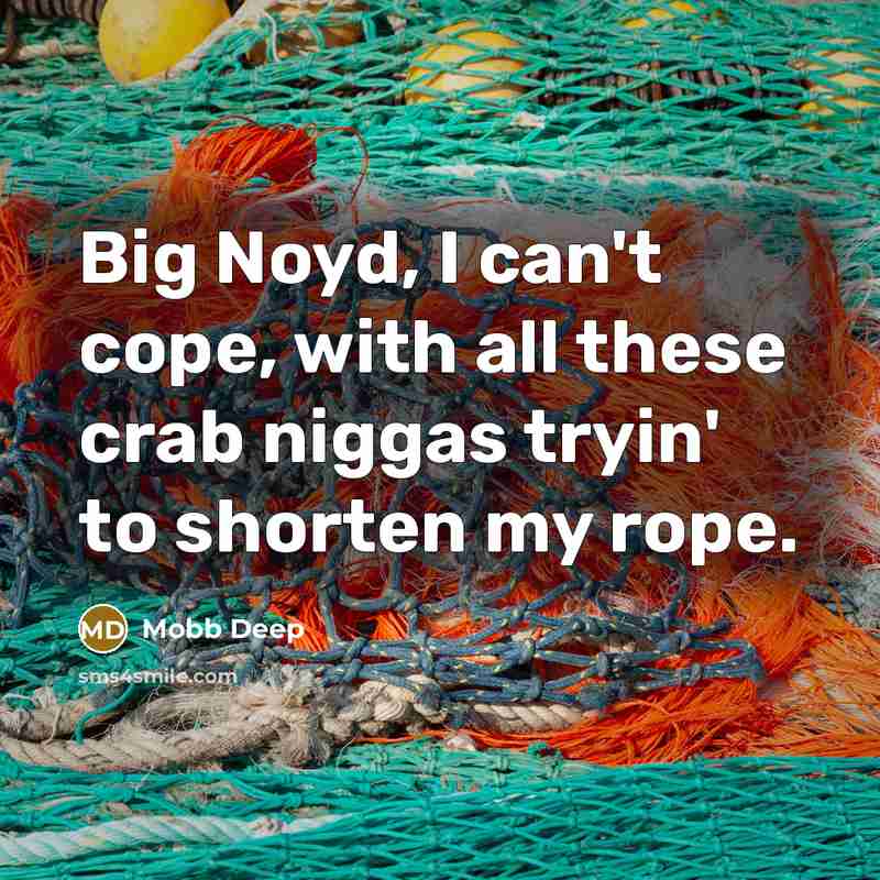 “Big Noyd, I can't cope, with all these crab niggas tryin' to shorten my rope.” quote by Mobb Deep