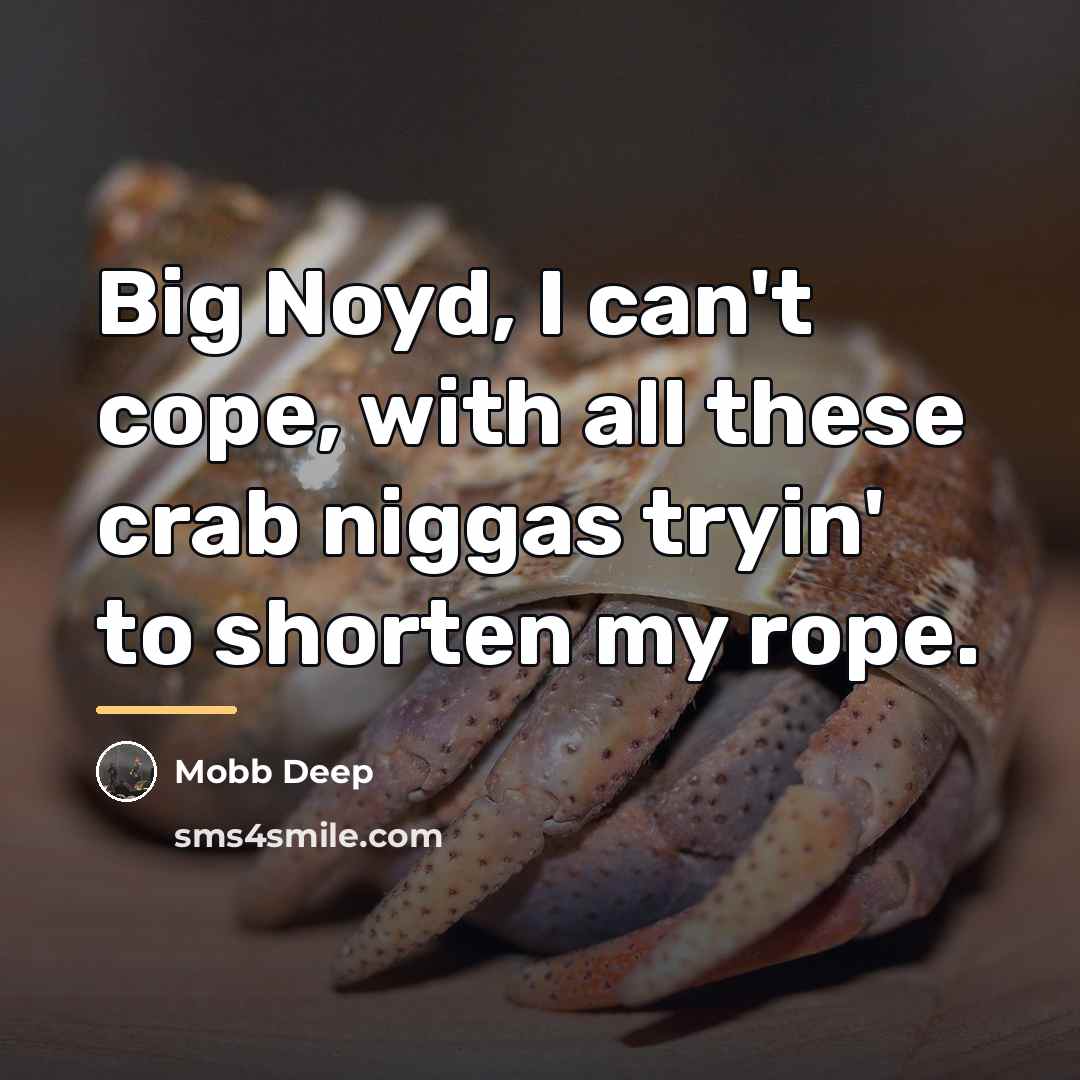 “Big Noyd, I can't cope, with all these crab niggas…” quote by Mobb Deep