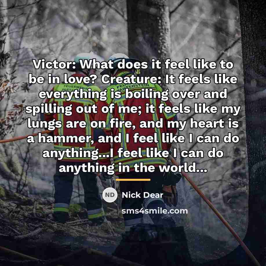 “Victor: What does it feel like to be in love?…” quote by Nick Dear
