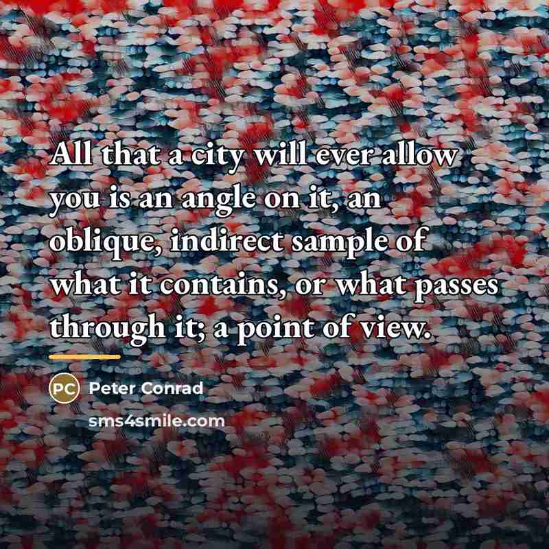 “All that a city will ever allow you is an…” quote by Peter Conrad